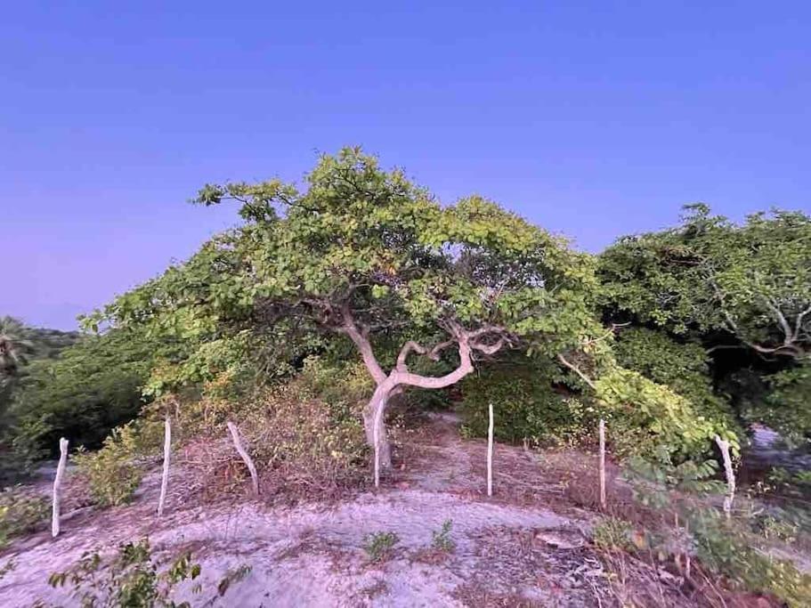 Casa Do Sossego Villa Jijoca de Jericoacoara Eksteriør bilde